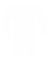 Ikona